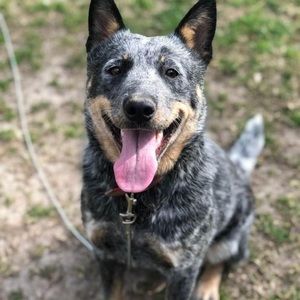 Meet your Posher, Malisha